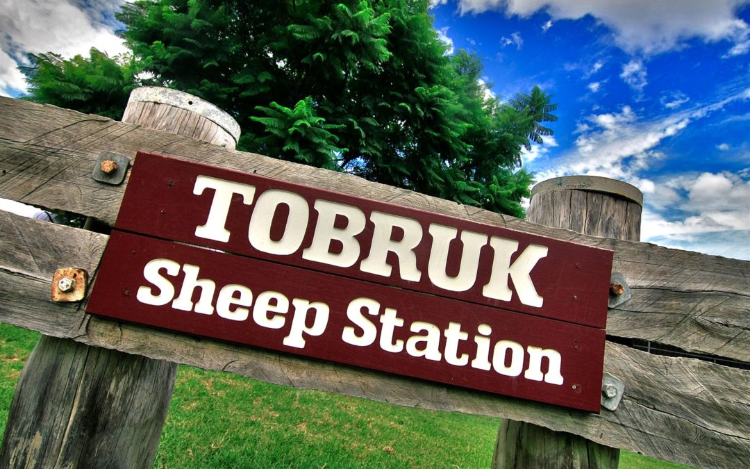 TOBRUK SHEEP STATION